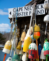 Cape Neddick Lobster Pound